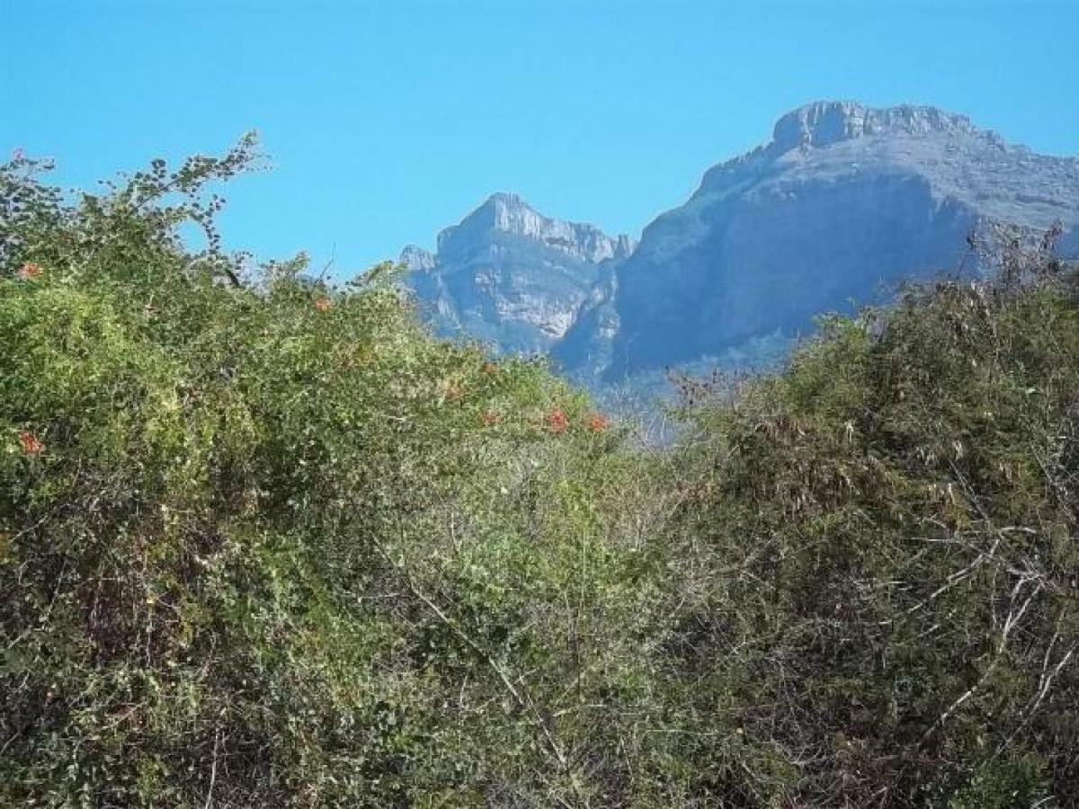 Aloes Bush Stay Hoedspruit Eksteriør bilde