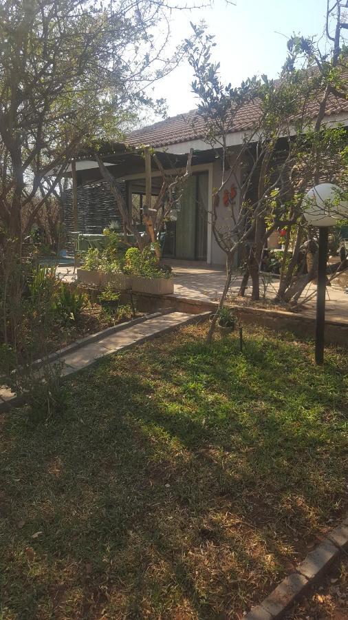 Aloes Bush Stay Hoedspruit Eksteriør bilde